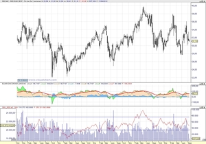 Estrategias de Inversión Caseras y Sencillas para Ganar Dinero en Bolsa (13); “Históricamente, Histórico”